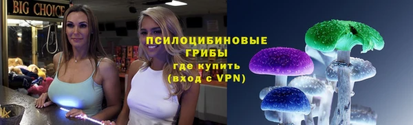 прущие крисы Алзамай