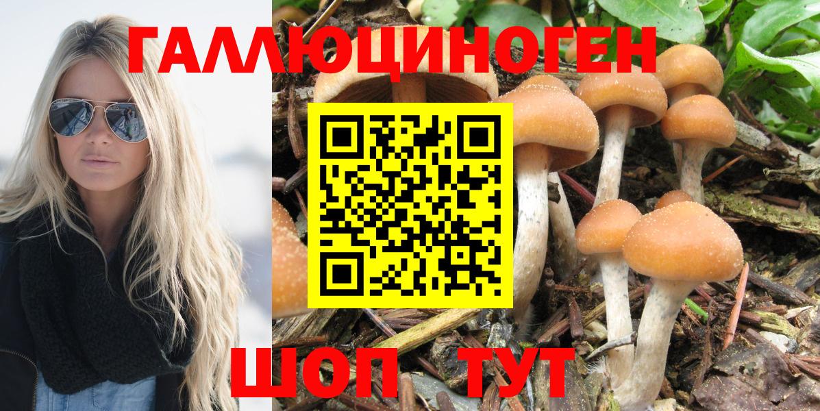 закладка  Галлюциногенные грибы Cubensis  Котлас  Вход с VPN  Псилоцибиновые грибы Psilocybine cubensis 