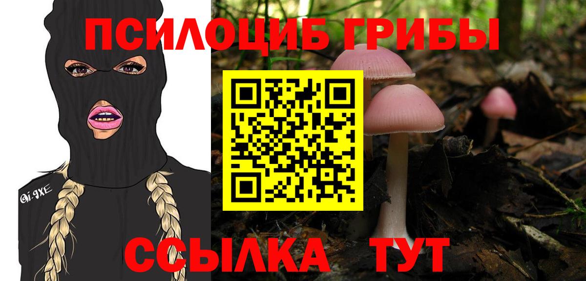 Галлюциногенные грибы Psilocybine cubensis Котлас