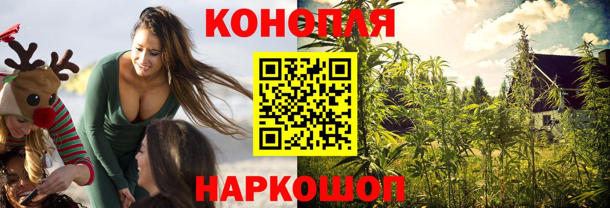 Котлас  Каннабис индика  Бошки Шишки OG Kush  Марихуана Amnesia  Вход с VPN 